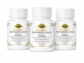 Histamine Haven Phase 1 Probiotic – Recommended 6 Month Bundle